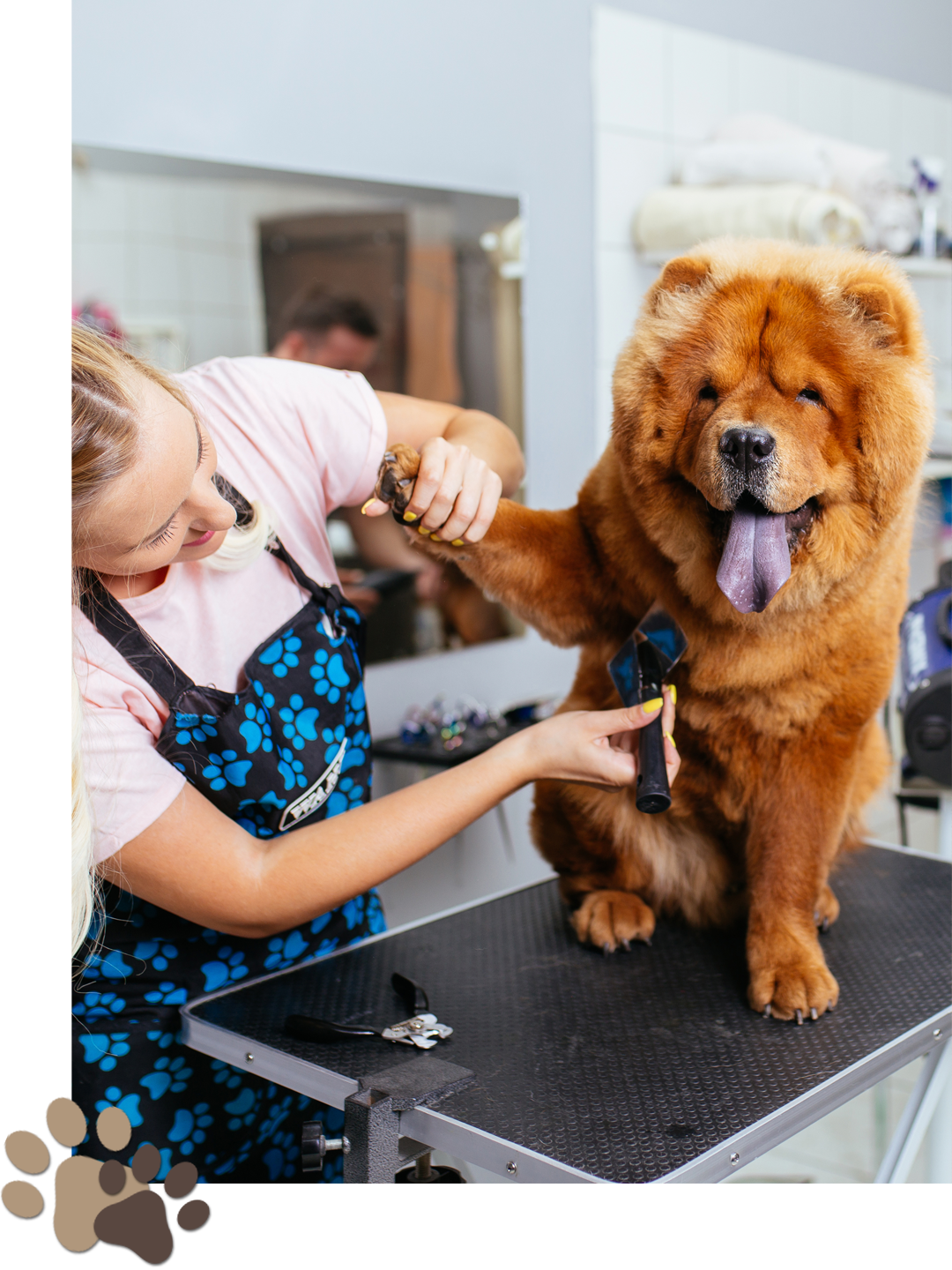 a person holding a dog